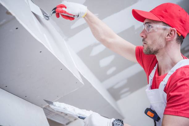 Best Mold Removal for HVAC Installations  in Naples, TX